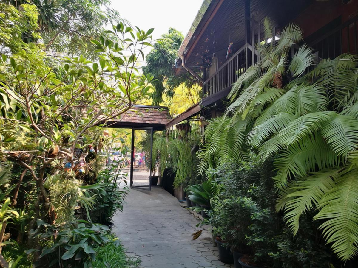 Hoh Guesthouse Chiang Mai Exterior foto